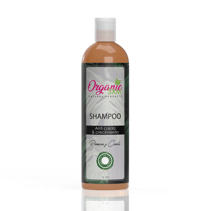 Shampoo